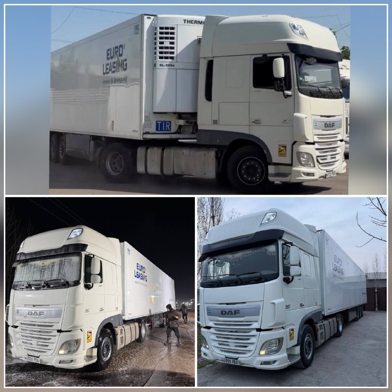 DAF XF EURO 6+ SCHMITZ РЕФ + ПРИЦЕП:SCHMITZ РЕФ АГРЕГАТ Thermoking SLX200